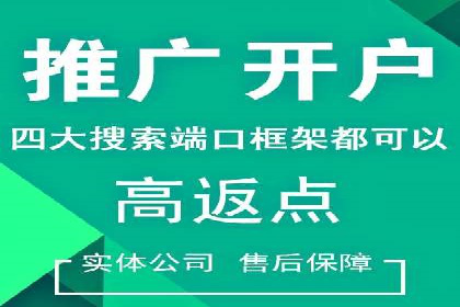 成功企业背后的百度推广策略