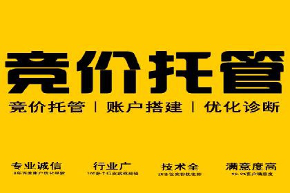 百度竞价推广托管：成功案例背后的故事